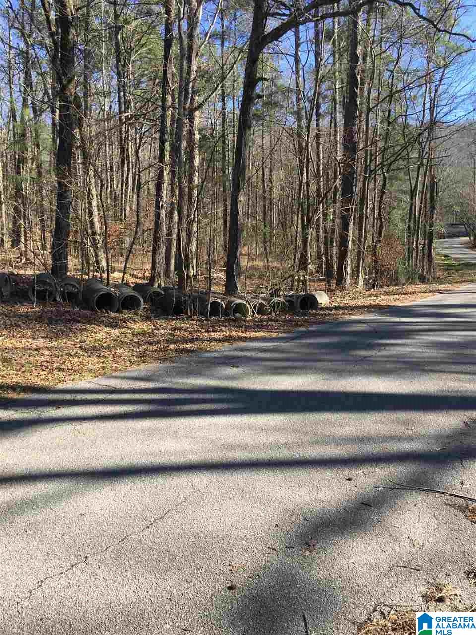 7465 Rodgers Road Southwest Leeds, AL 35094 - Photo 10 of 25