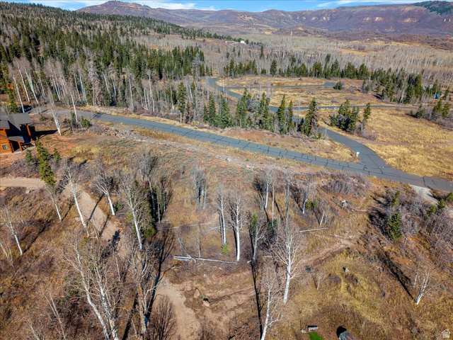367 Spring Drive, Unit 67 Springdale, UT 84767 - Photo 4 of 13 View of mountain backdrop with a heavily wooded area