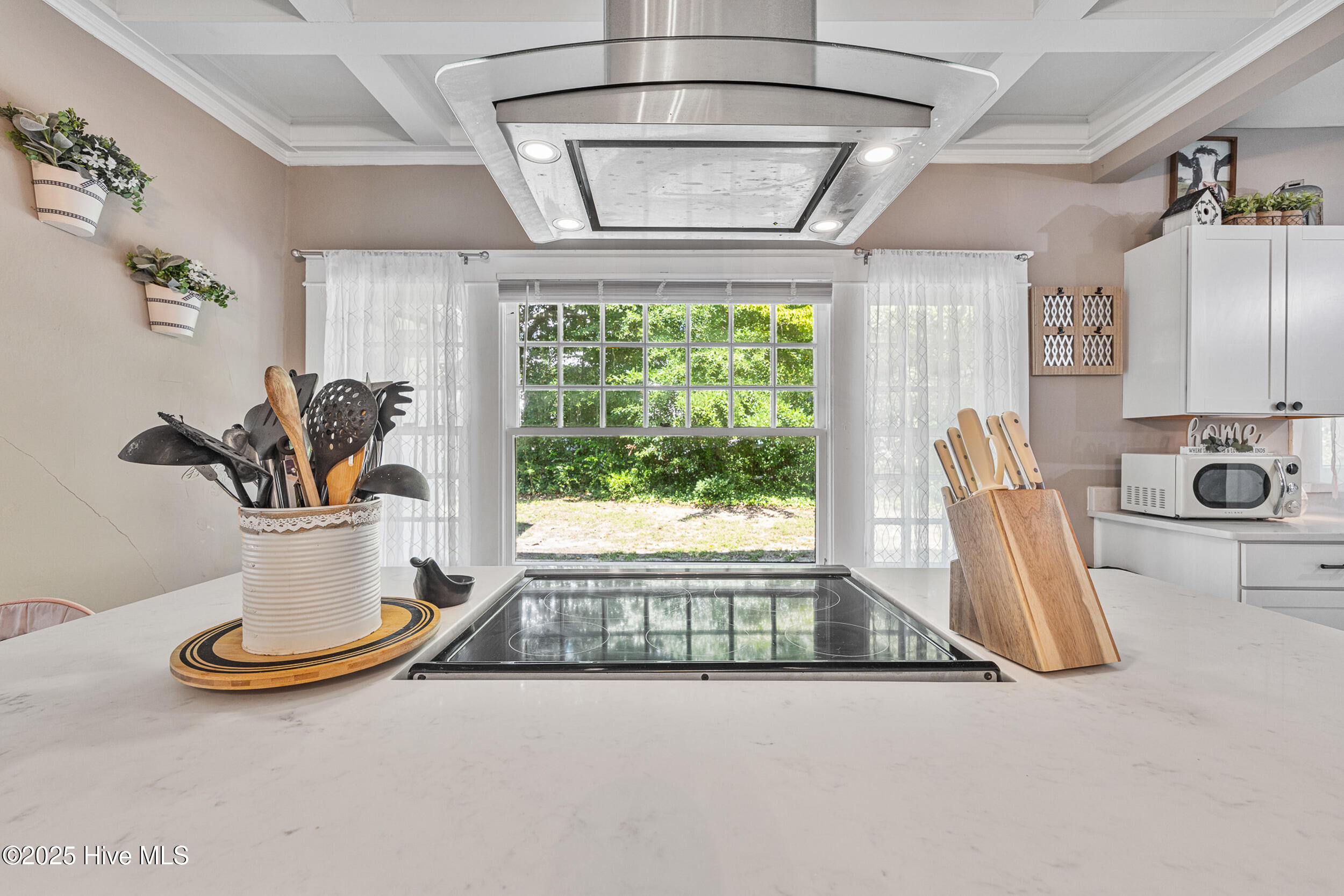 538 Main Street Hamlet, NC 28345 - Photo 17 of 41 25_5u9a6941