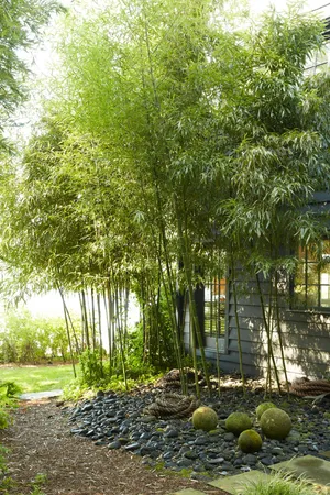 a backyard of a house with lots of green space