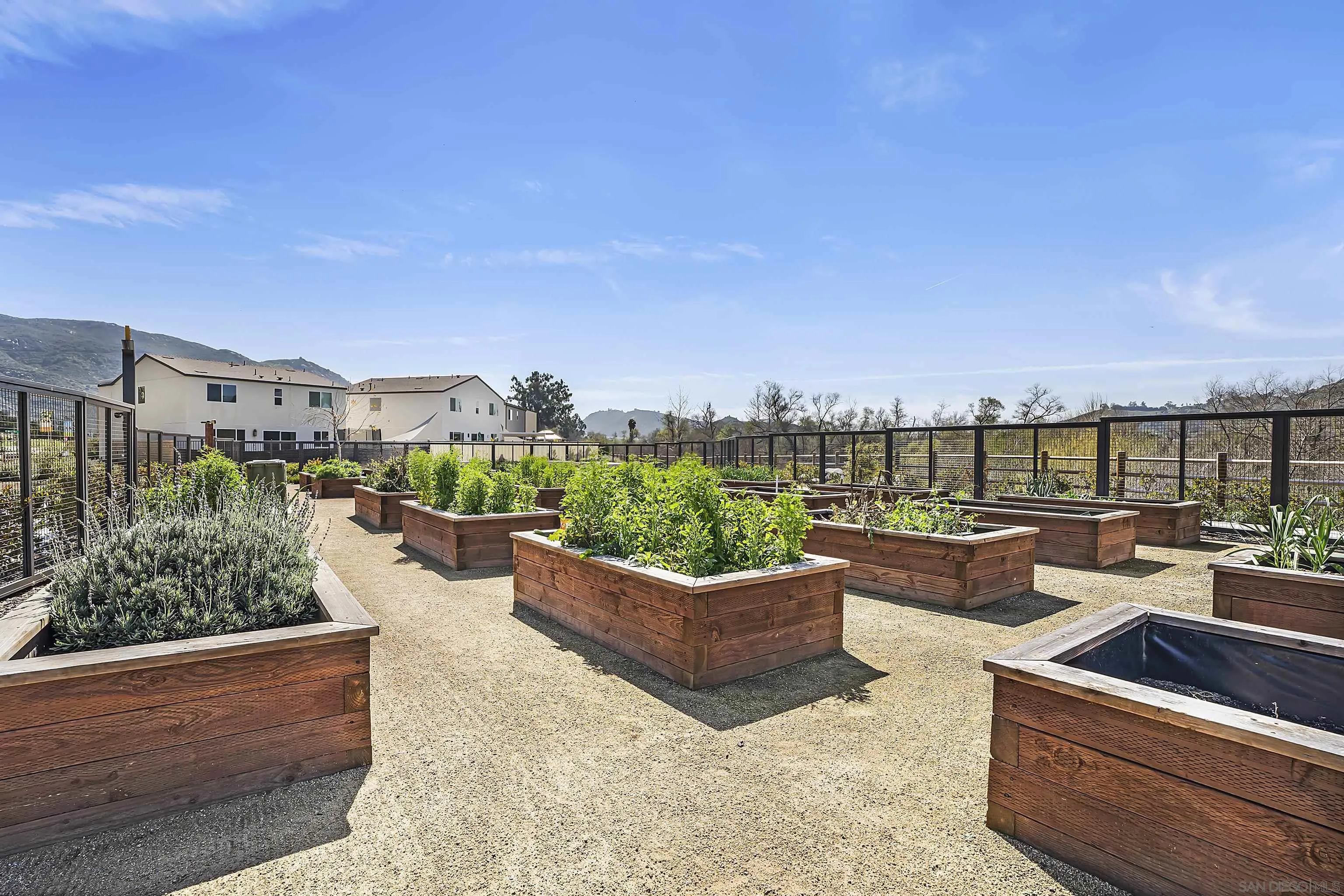 223 Foliage Place Fallbrook, CA 92028 - Photo 33 of 46 a view of roof deck with couches and city view