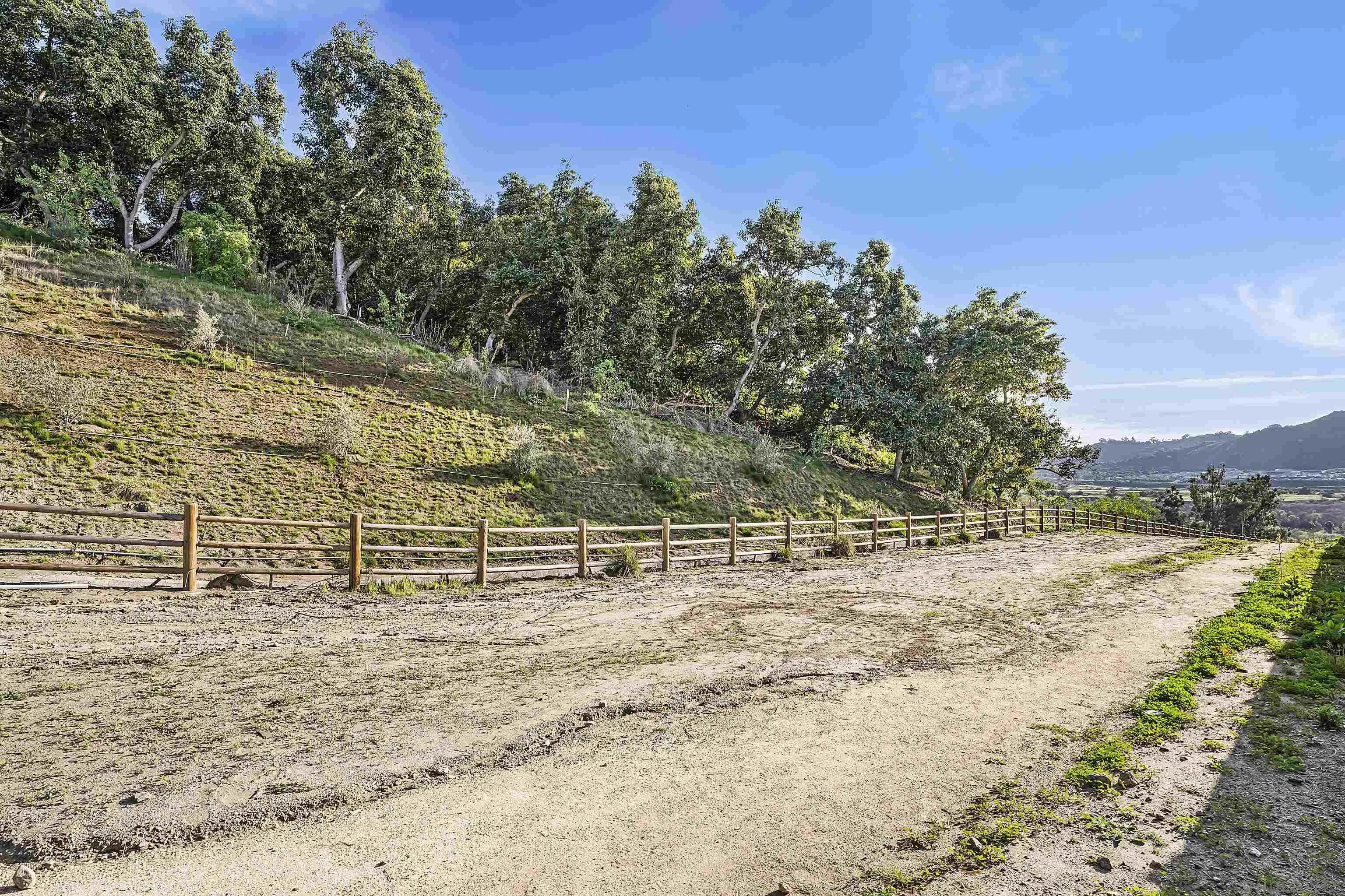 223 Foliage Place Fallbrook, CA 92028 - Photo 39 of 46 a view of dirt yard with trees
