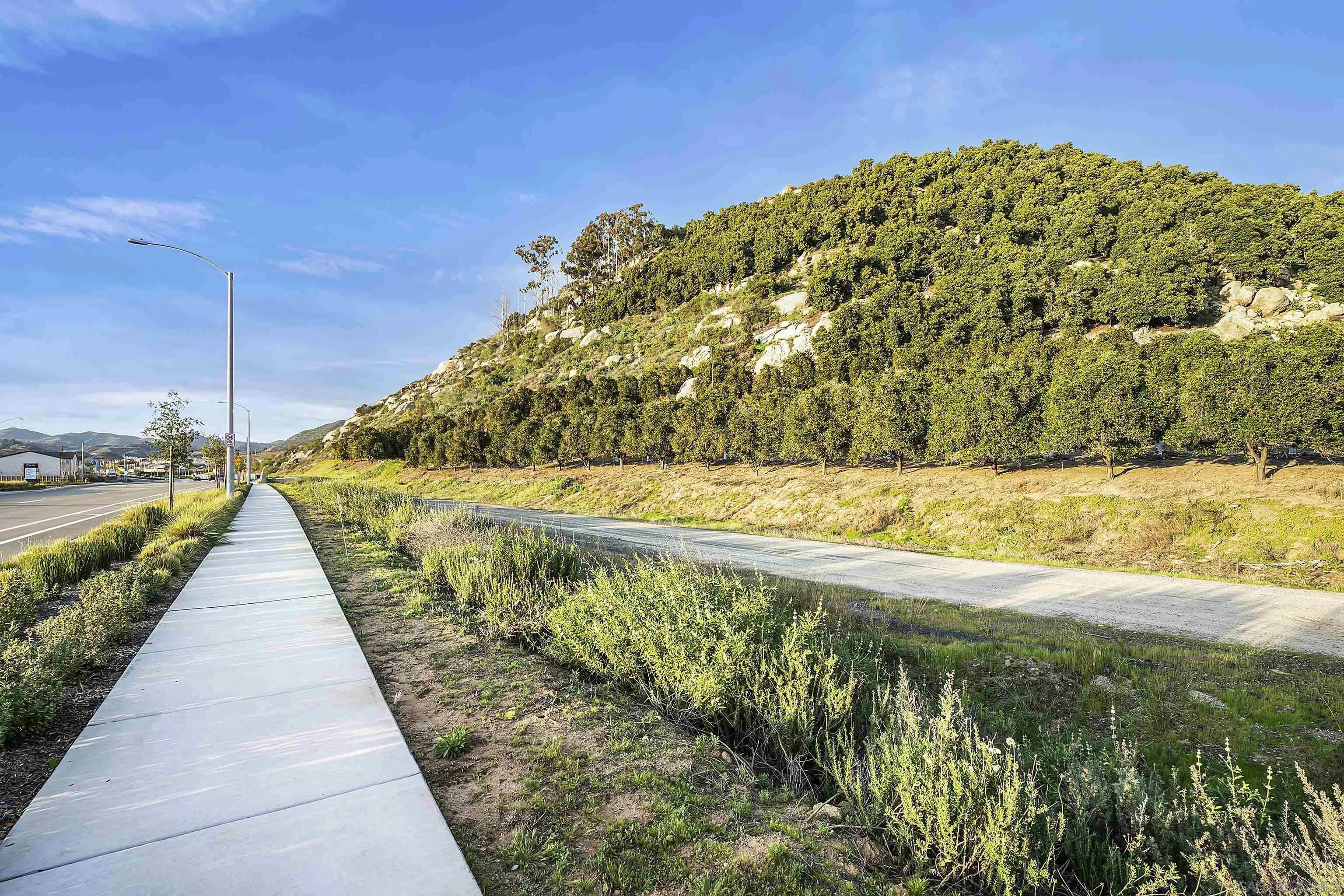223 Foliage Place Fallbrook, CA 92028 - Photo 46 of 46 a view of swimming pool with a yard