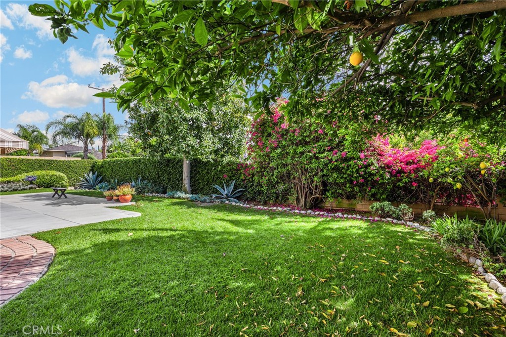536 Silver Canyon Way Brea, CA 92821 - Photo 37 of 40 a view of a backyard with swimming pool