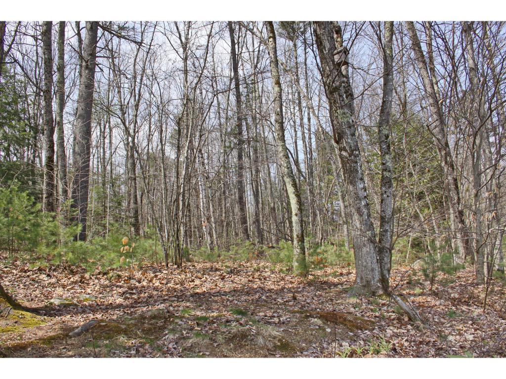 163 Oak Hill Road Barrington, NH 03825 - Photo 26 of 33 Gallery Image 26