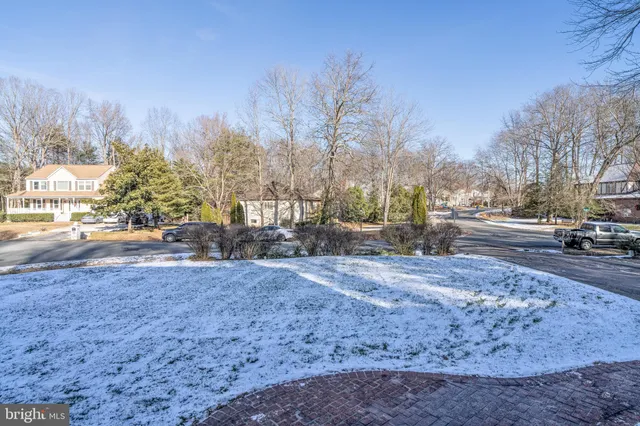 a view of road with large trees