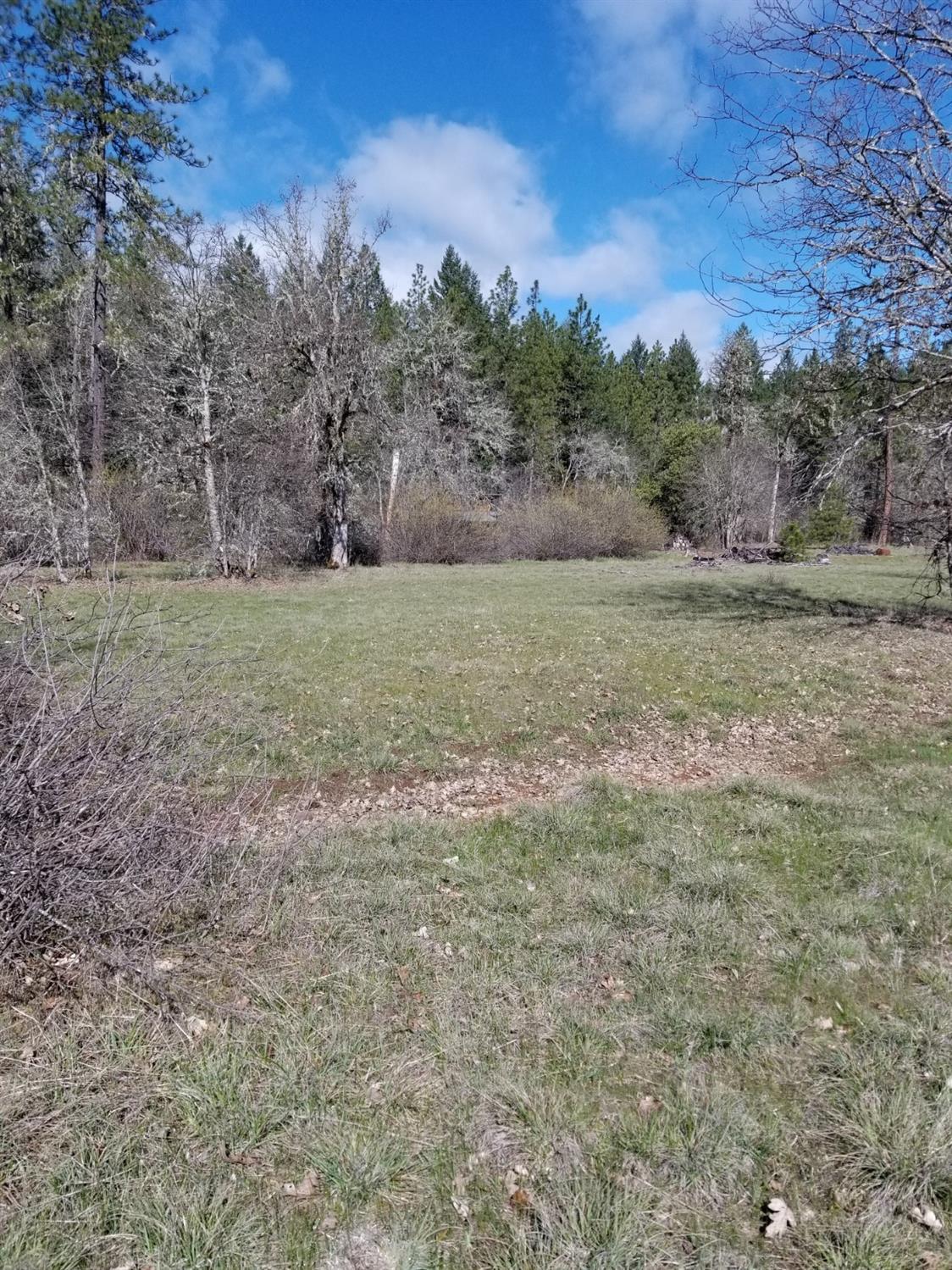 0 Dick George Road Cave Junction, OR 97523 - Photo 1 of 14 Primary Photo