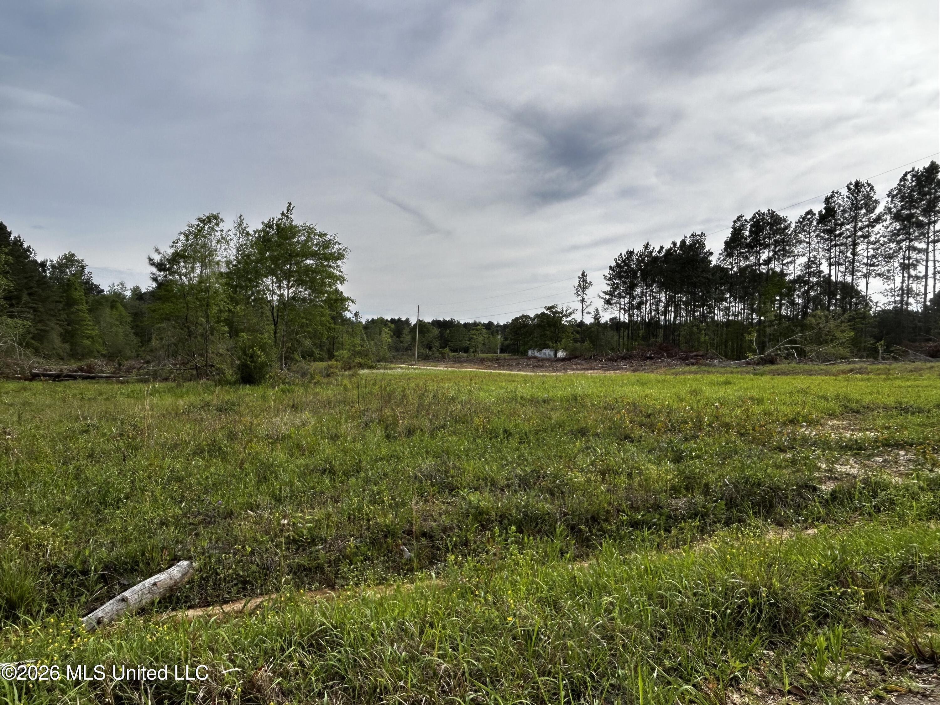 141 Jimmy Reyer Road Poplarville, MS 39470 - Photo 27 of 29 IMG_4220