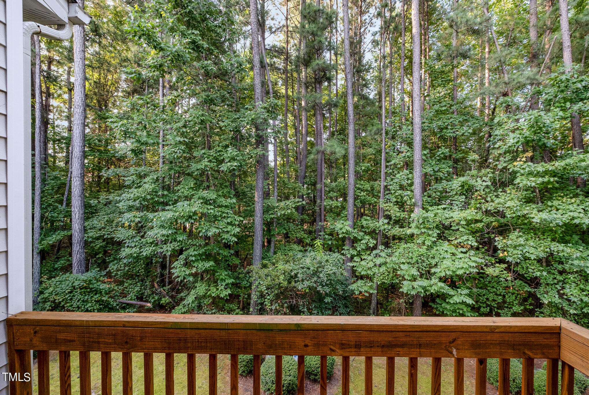 8779 Cypress Grove Raleigh, NC 27612 - Photo 27 of 28 029_dscf4134-edit