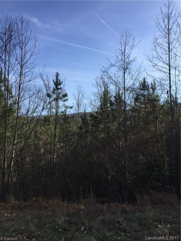 100 Flat Rock Road, Unit 100 Pinnacle, NC 27043 - Photo 5 of 21 Gallery Image 5
