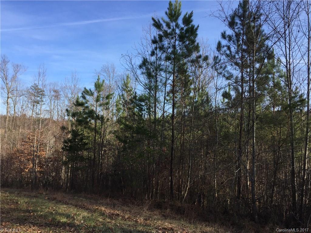 100 Flat Rock Road, Unit 100 Pinnacle, NC 27043 - Photo 6 of 21 Gallery Image 6