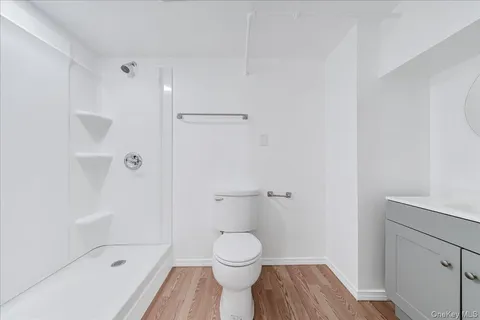 a bathroom with a toilet and a shower