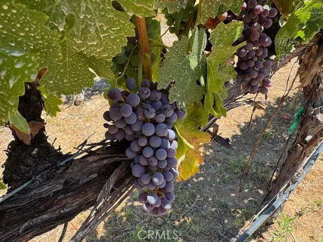 $3,490,000 | 39547 Calle Cabernet, Temecula, CA 92591