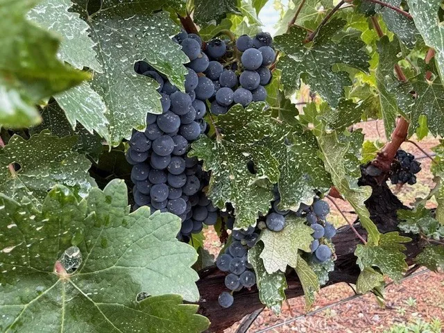 $3,490,000 | 39547 Calle Cabernet, Temecula, CA 92591