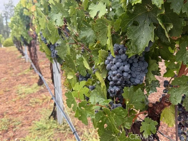 $3,490,000 | 39547 Calle Cabernet, Temecula, CA 92591