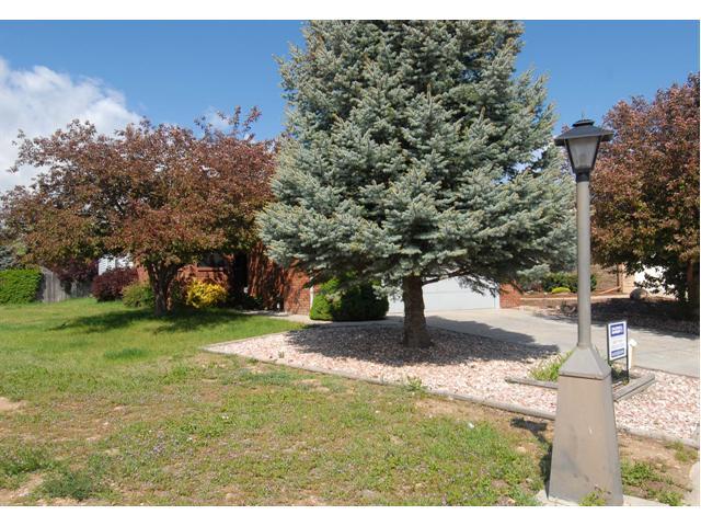 829 Wade Road Longmont, CO 80503 - Photo 1 of 1