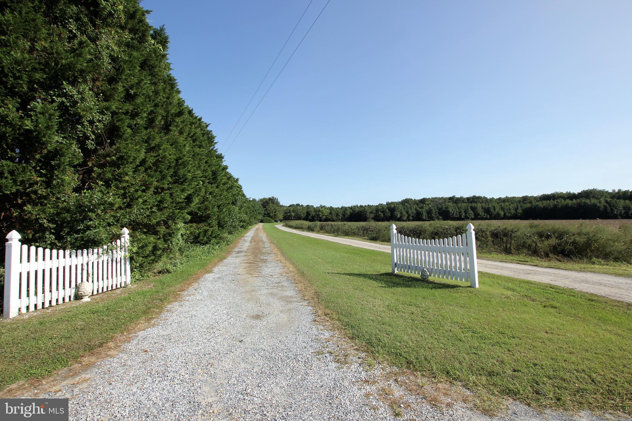 5740 Adams Road Federalsburg, MD 21632 - Photo 2 of 23 Gallery Image 2