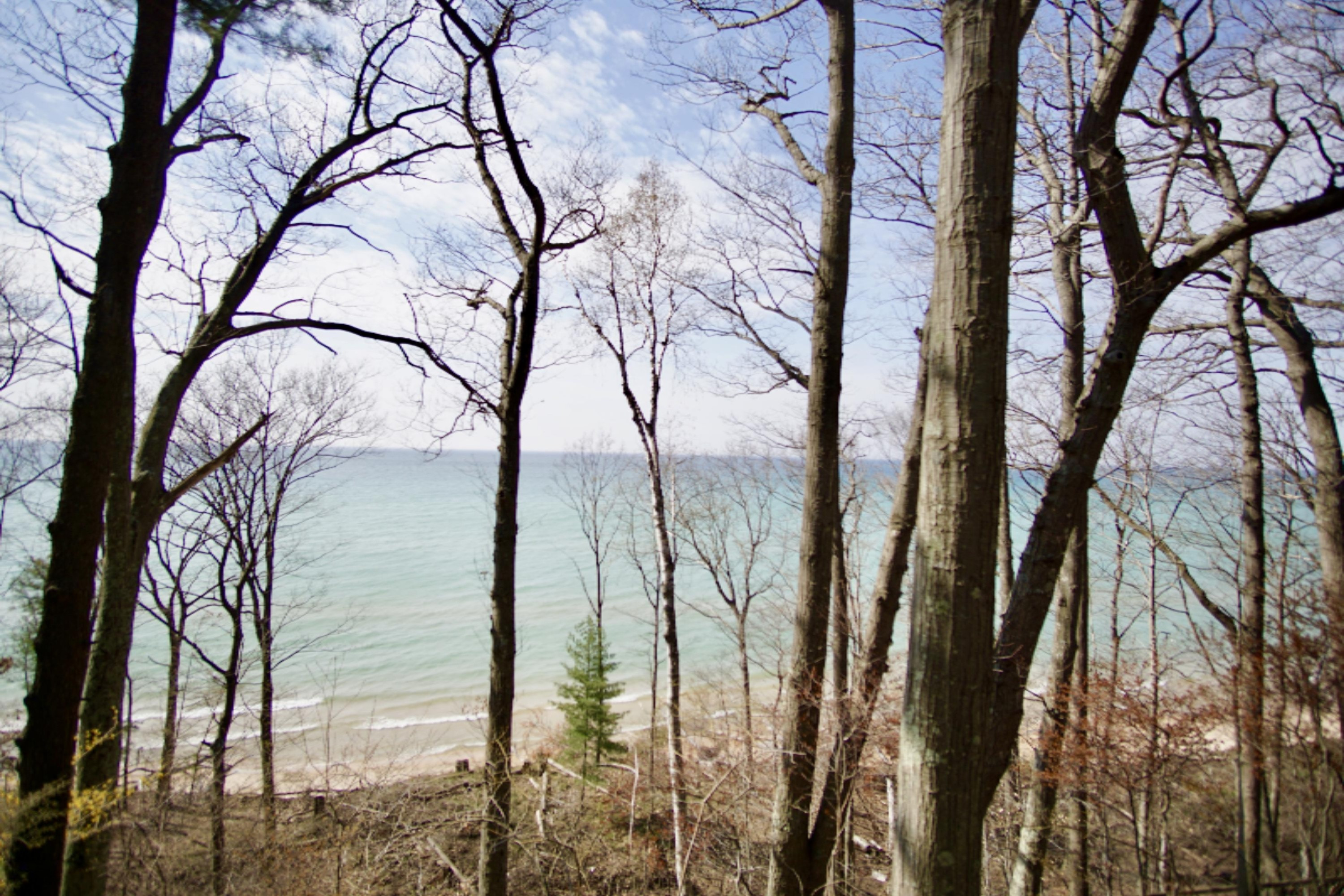 4209 North Ridge Road Mears, MI 49436 - Photo 8 of 32 fullsizeoutput_2a7a