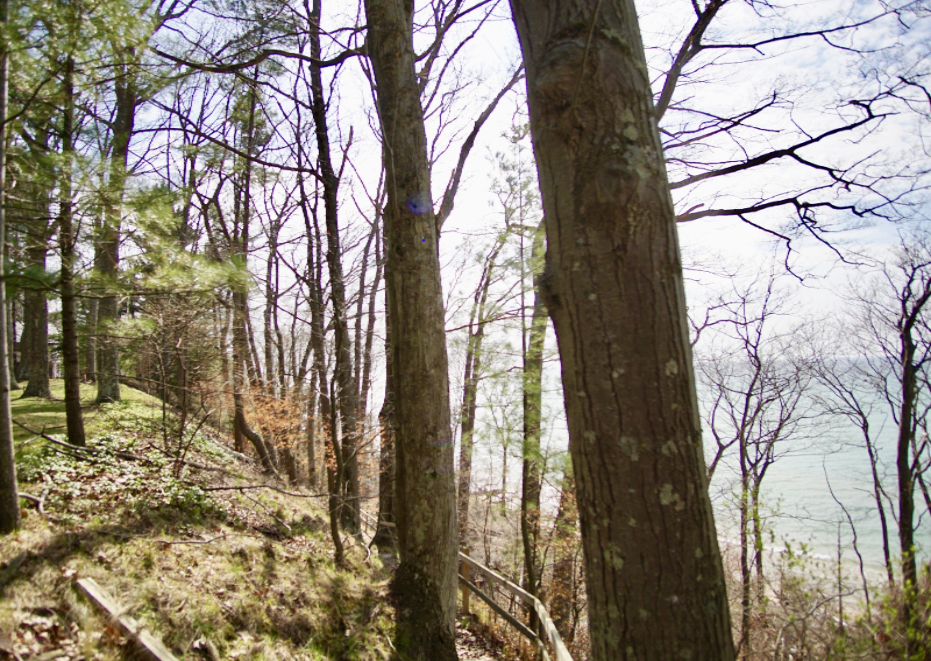 4209 North Ridge Road Mears, MI 49436 - Photo 10 of 32 fullsizeoutput_2a88