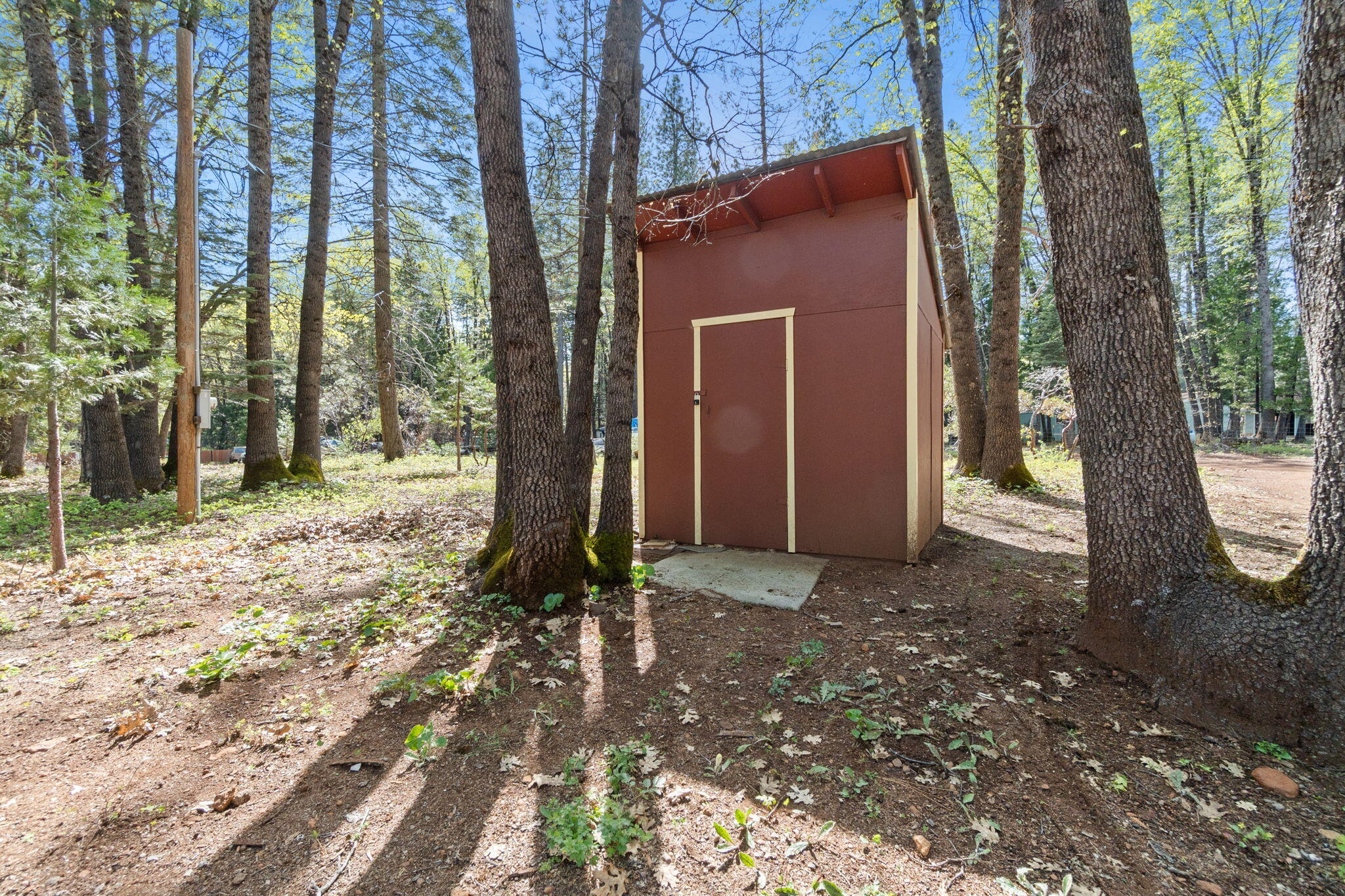 7517 Brett Road Shingletown, CA 96088 - Photo 19 of 26 a backyard of a house with lots of green space