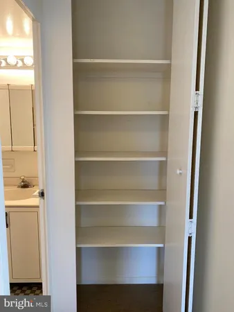 a view of walk in closet with empty racks