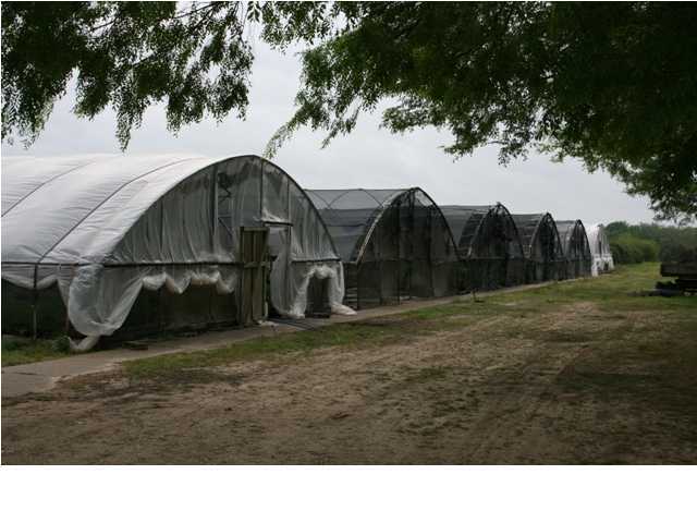 1541 Nursery Road Ville Platte, LA 70586 - Photo 5 of 9