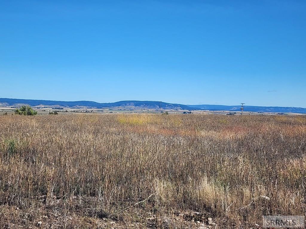 2 Ice Tong Lane Ashton, ID 83420 - Photo 6 of 16