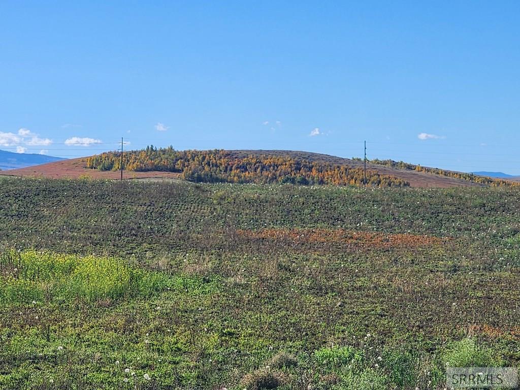 2 Ice Tong Lane Ashton, ID 83420 - Photo 9 of 16
