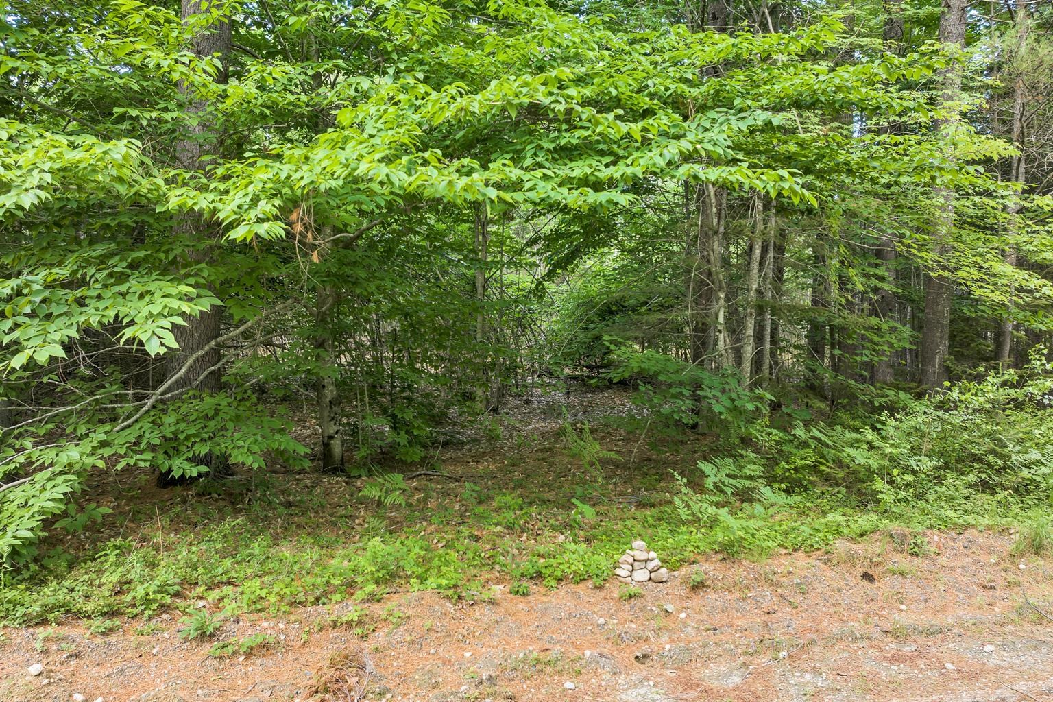 62 Stevens Road Effingham, NH 03882 - Photo 2 of 17 Gallery Image 2