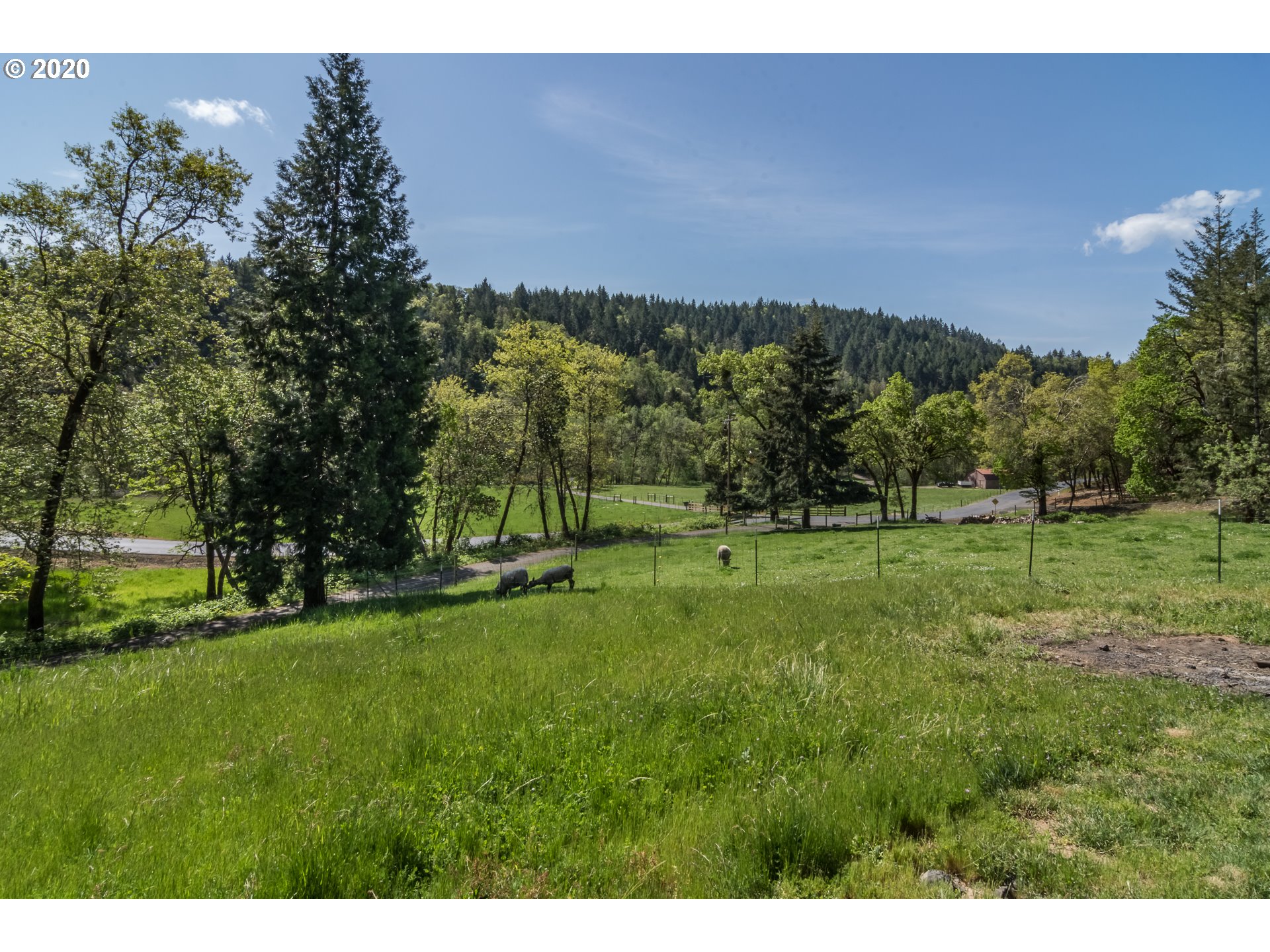 764 Upper Cleveland Rapids Road Roseburg, OR 97471 - Photo 31 of 31 Gallery Image 31
