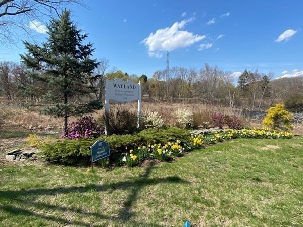 207 Boston Post Road Wayland, MA 01778 - Photo 28 of 38