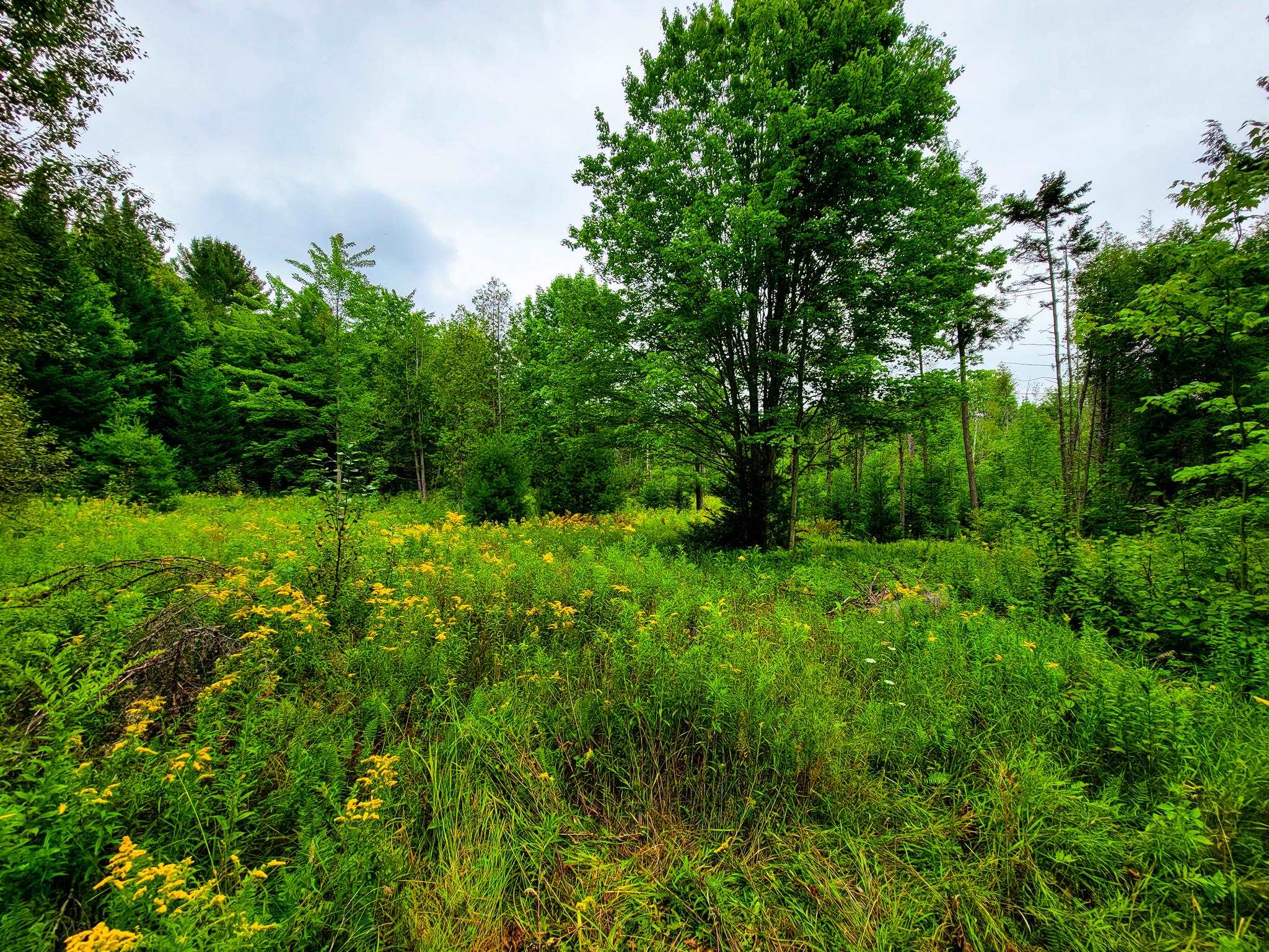 433 Davis Road Marshfield, VT 05667 - Photo 11 of 40 Gallery Image 11