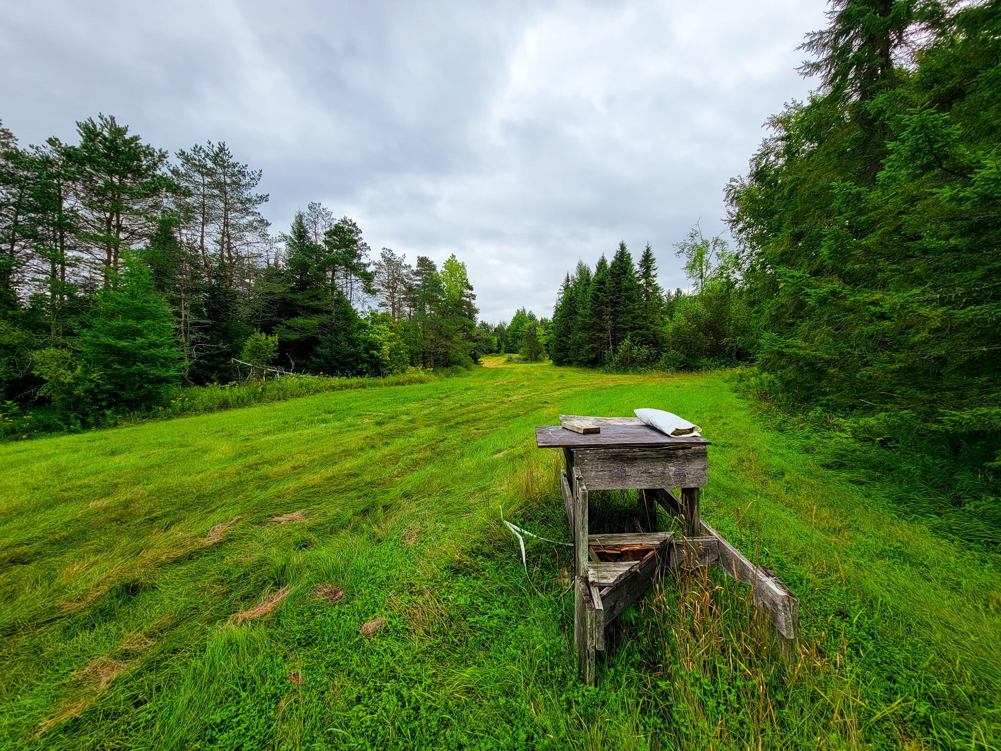 433 Davis Road Marshfield, VT 05667 - Photo 32 of 40 Gallery Image 32