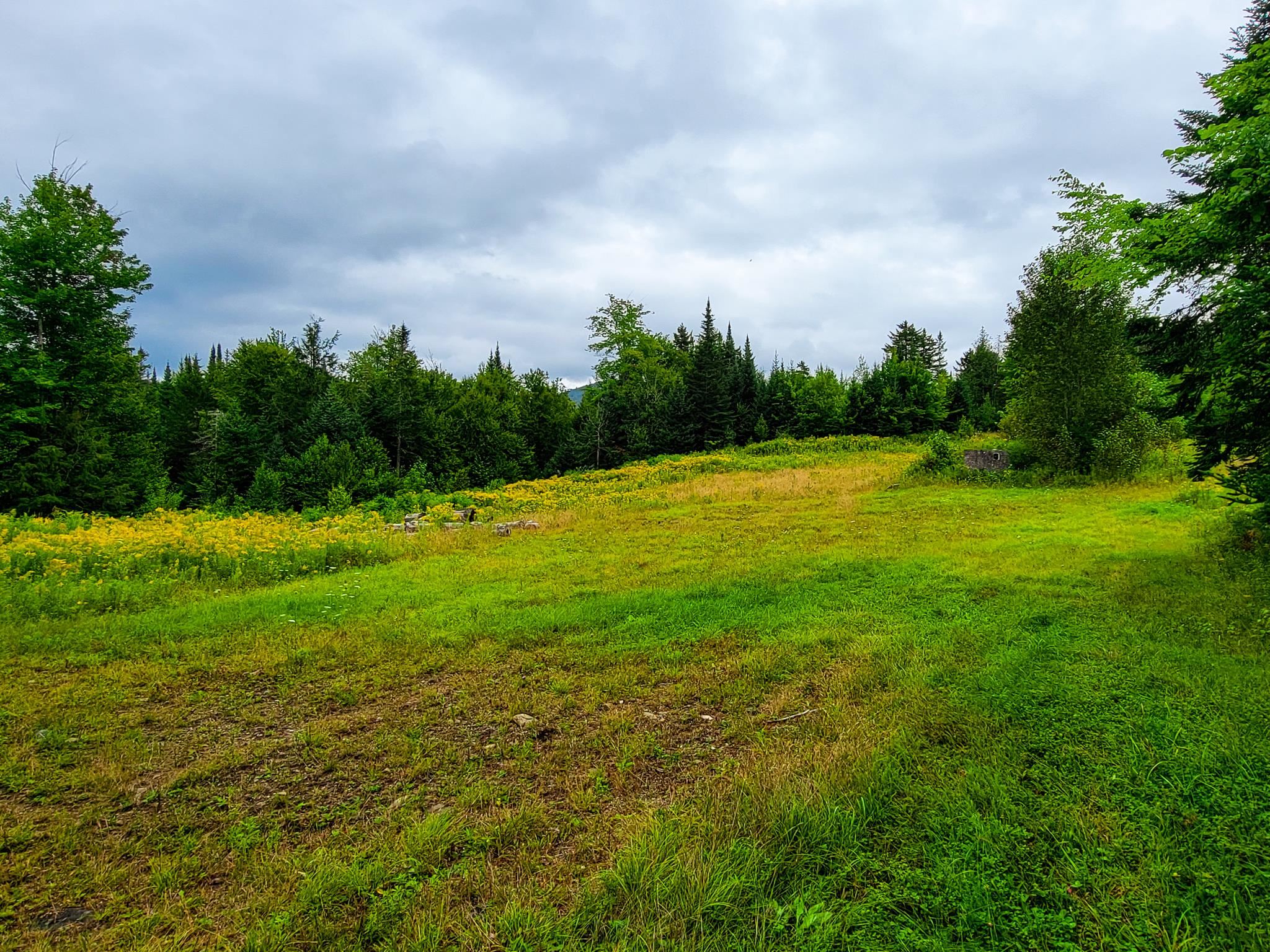 433 Davis Road Marshfield, VT 05667 - Photo 33 of 40 Gallery Image 33