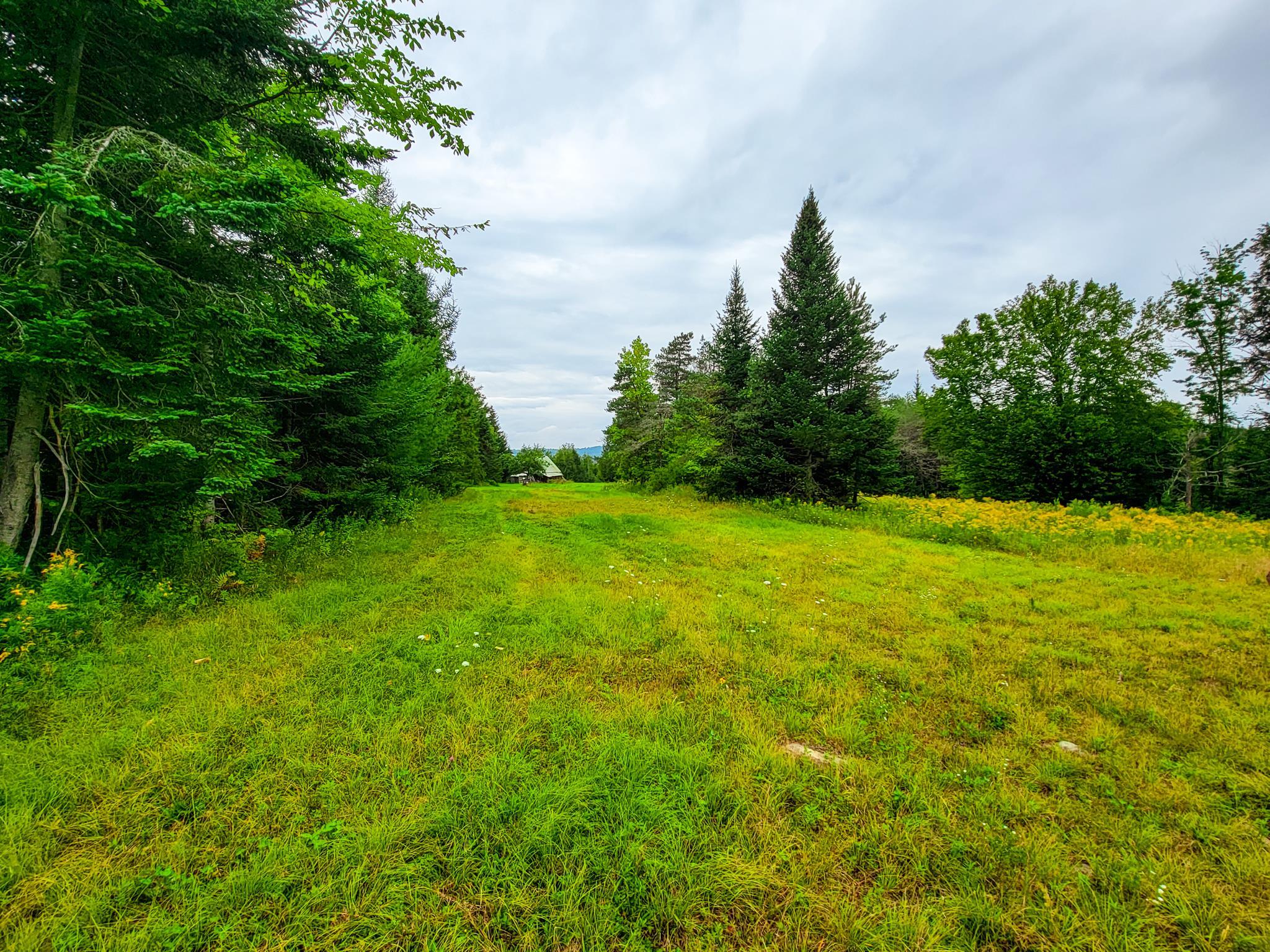 433 Davis Road Marshfield, VT 05667 - Photo 34 of 40 Gallery Image 34