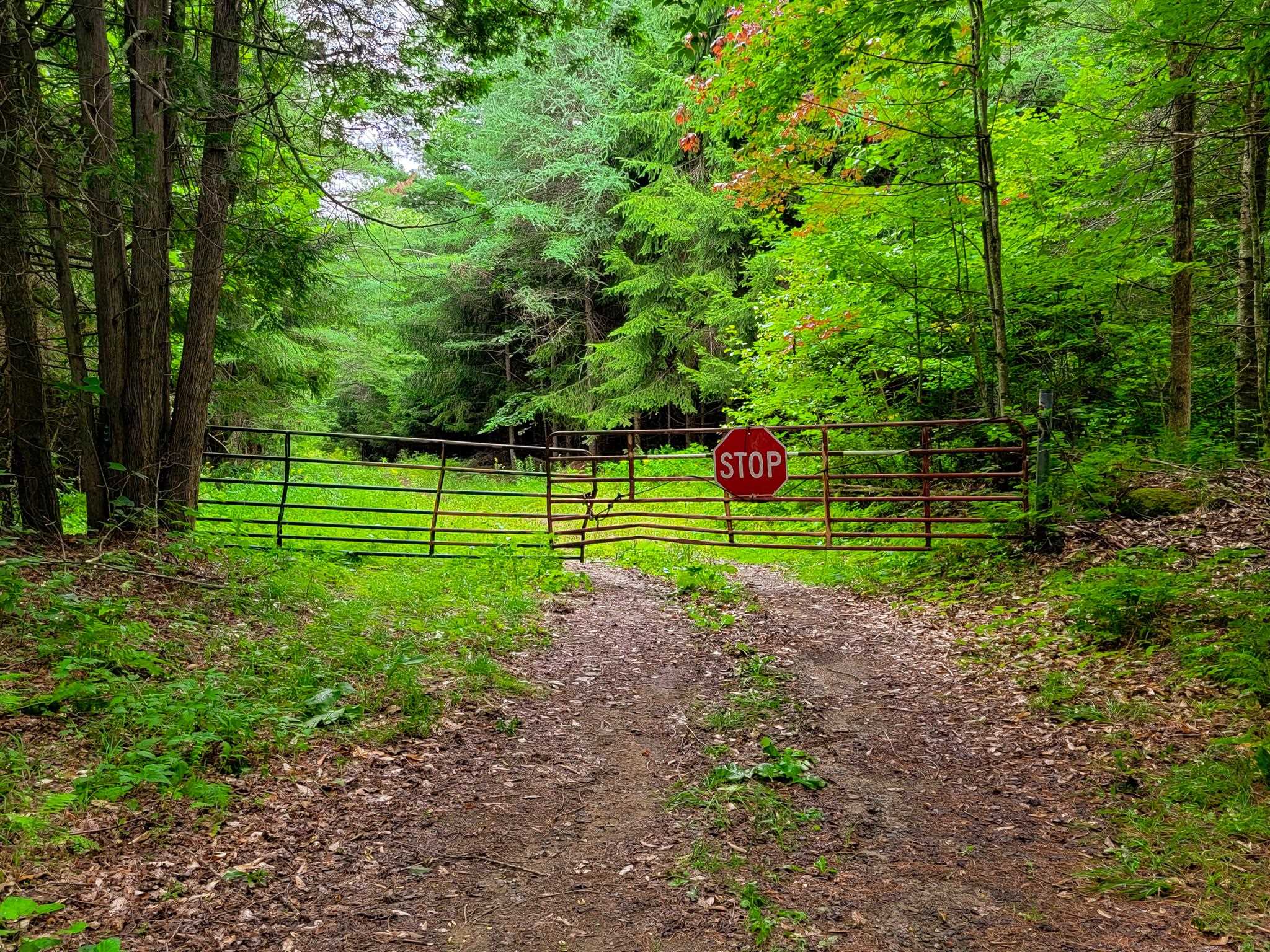 433 Davis Road Marshfield, VT 05667 - Photo 37 of 40 Gallery Image 37