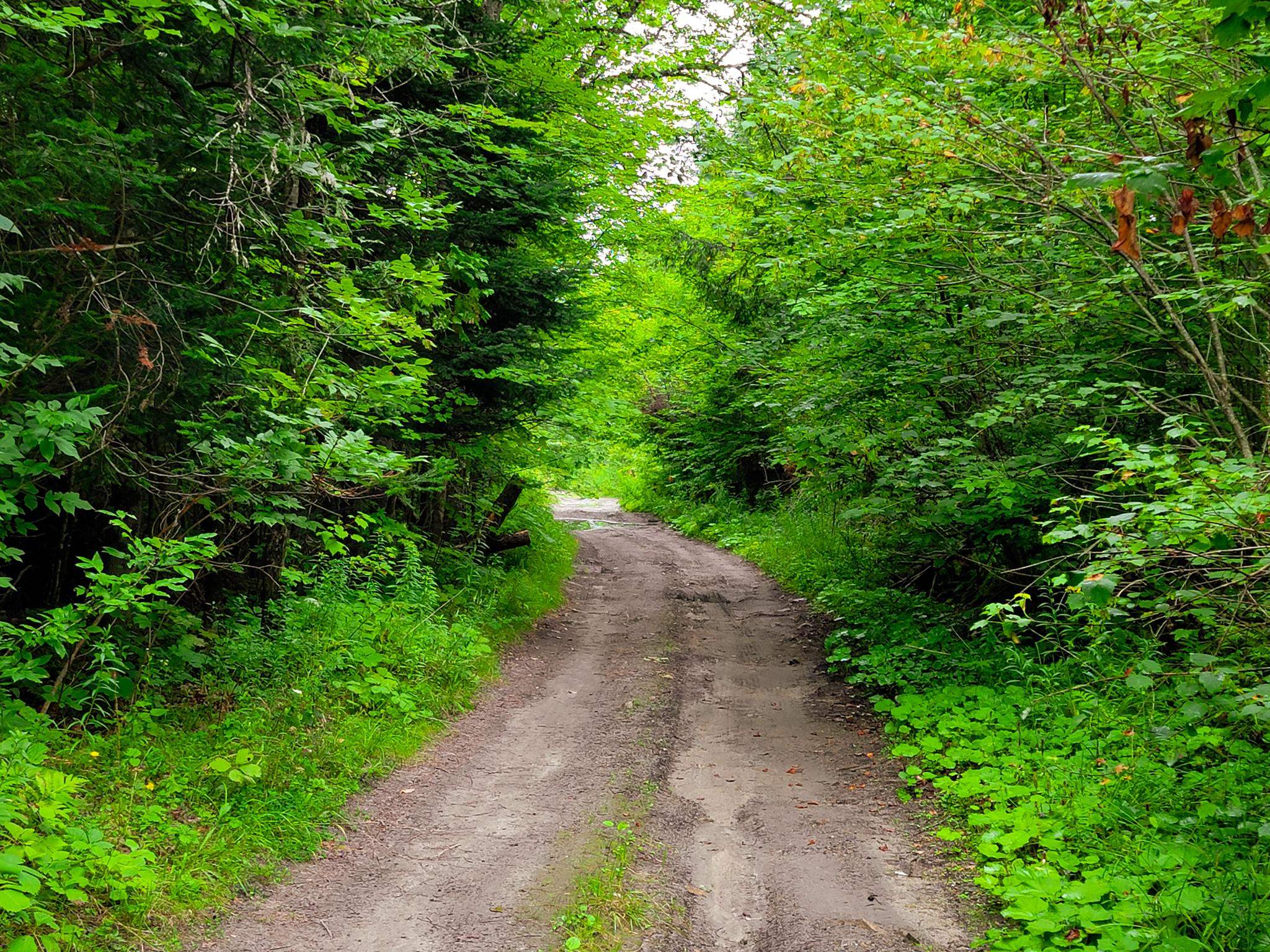 433 Davis Road Marshfield, VT 05667 - Photo 38 of 40 Gallery Image 38