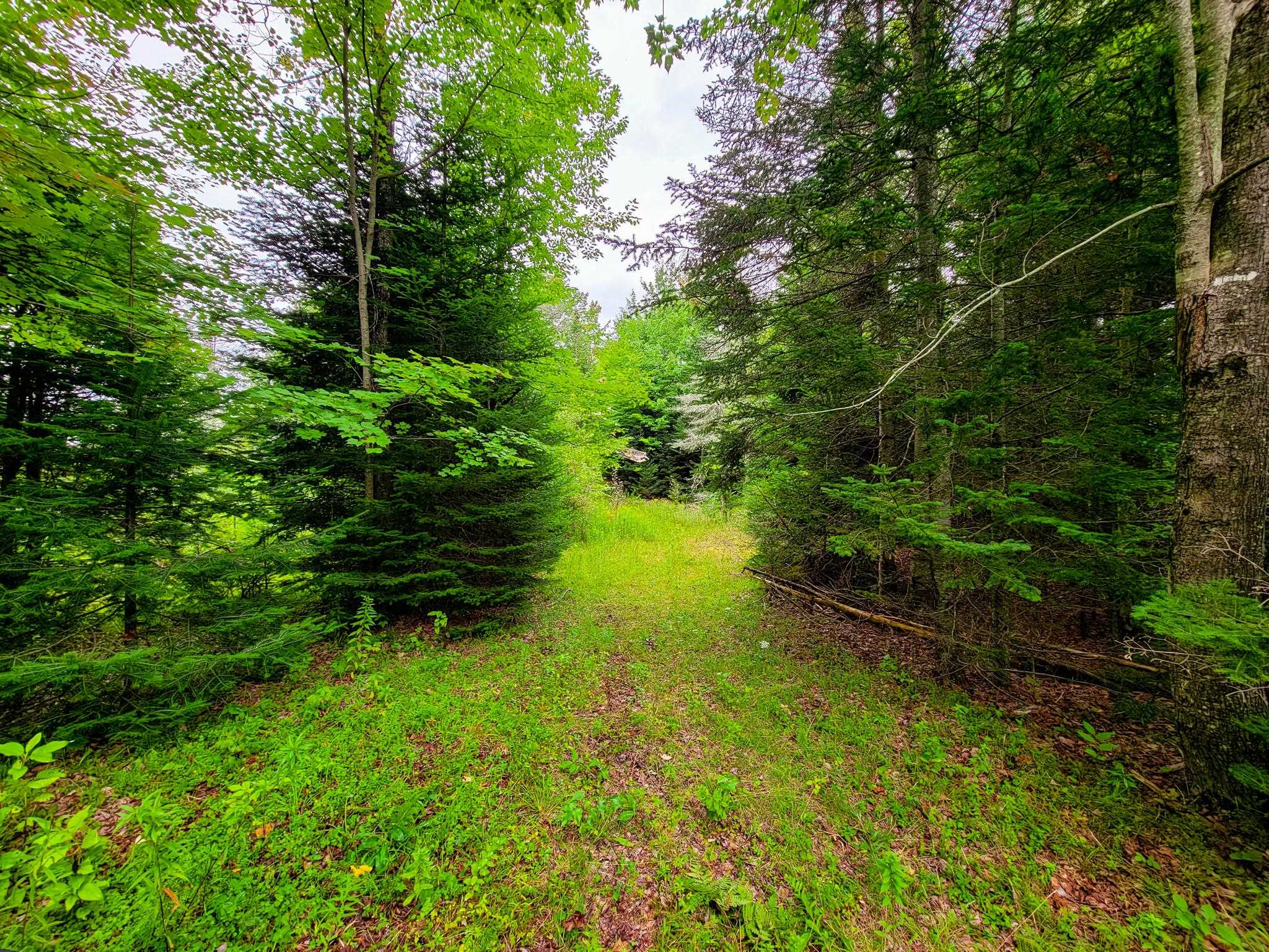433 Davis Road Marshfield, VT 05667 - Photo 8 of 40 Gallery Image 8