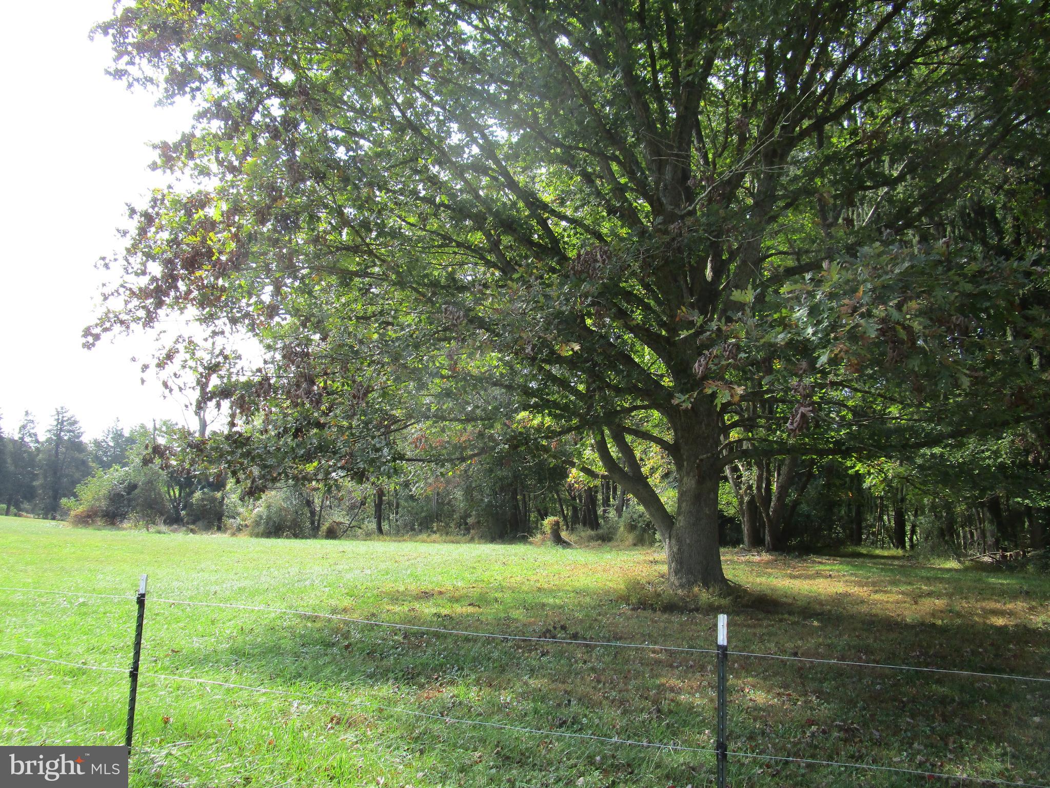 943 Klees Mill Road Westminster, MD 21157 - Photo 3 of 7 Gallery Image 3