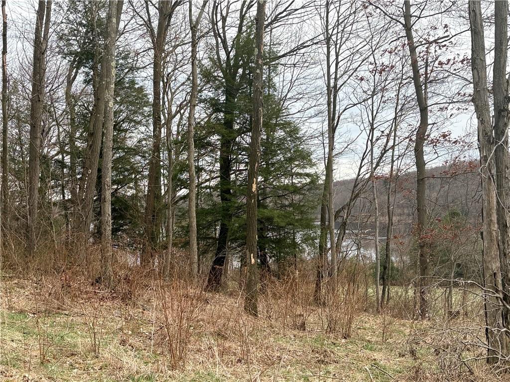 Lot 3 Cranberry Road Confluence, PA 15424 - Photo 3 of 14 a view of forest