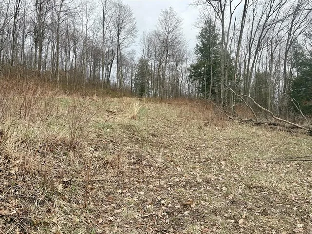 a view of backyard with green space