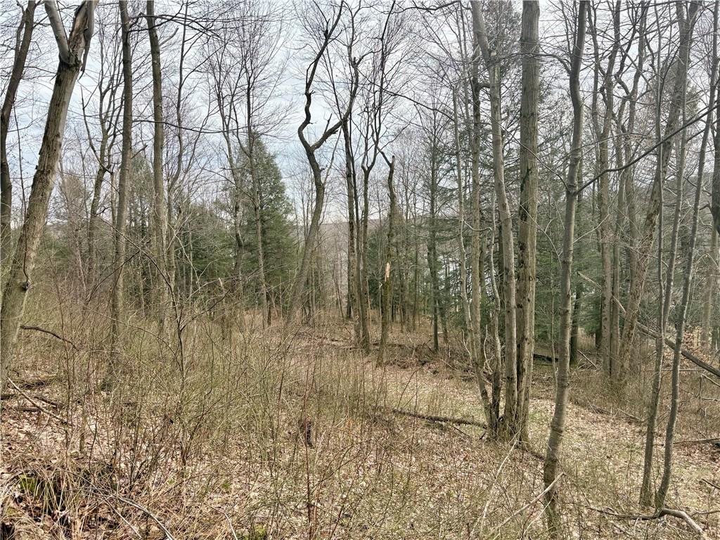 Lot 3 Cranberry Road Confluence, PA 15424 - Photo 6 of 14 a view of forest