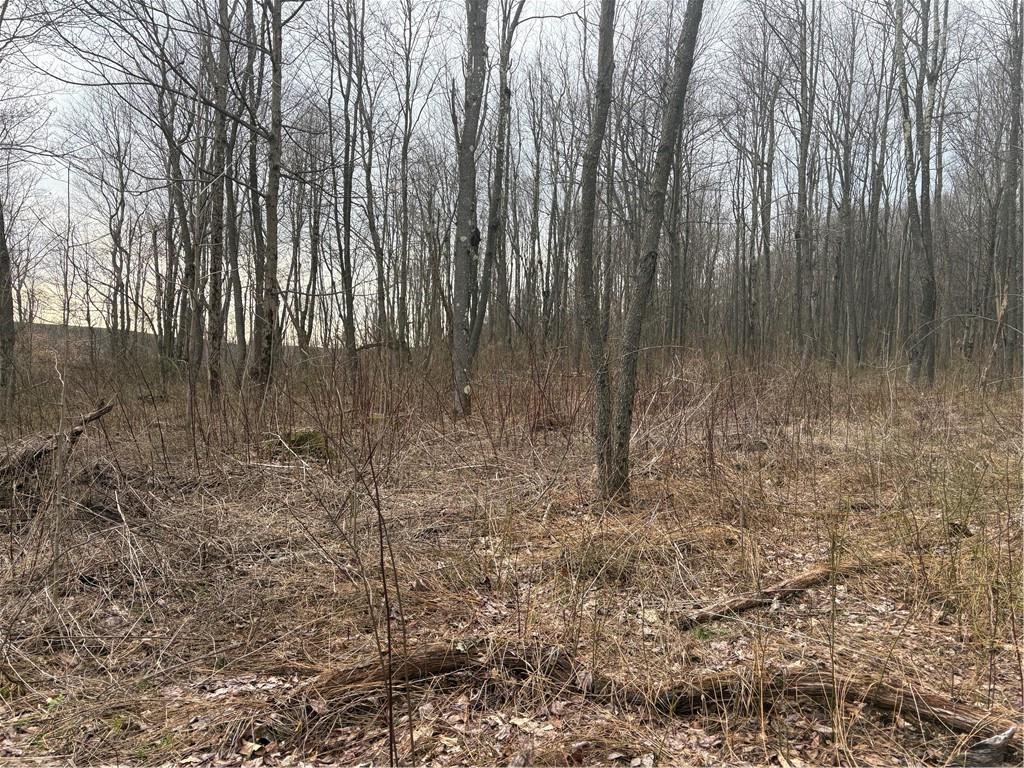 Lot 3 Cranberry Road Confluence, PA 15424 - Photo 7 of 14