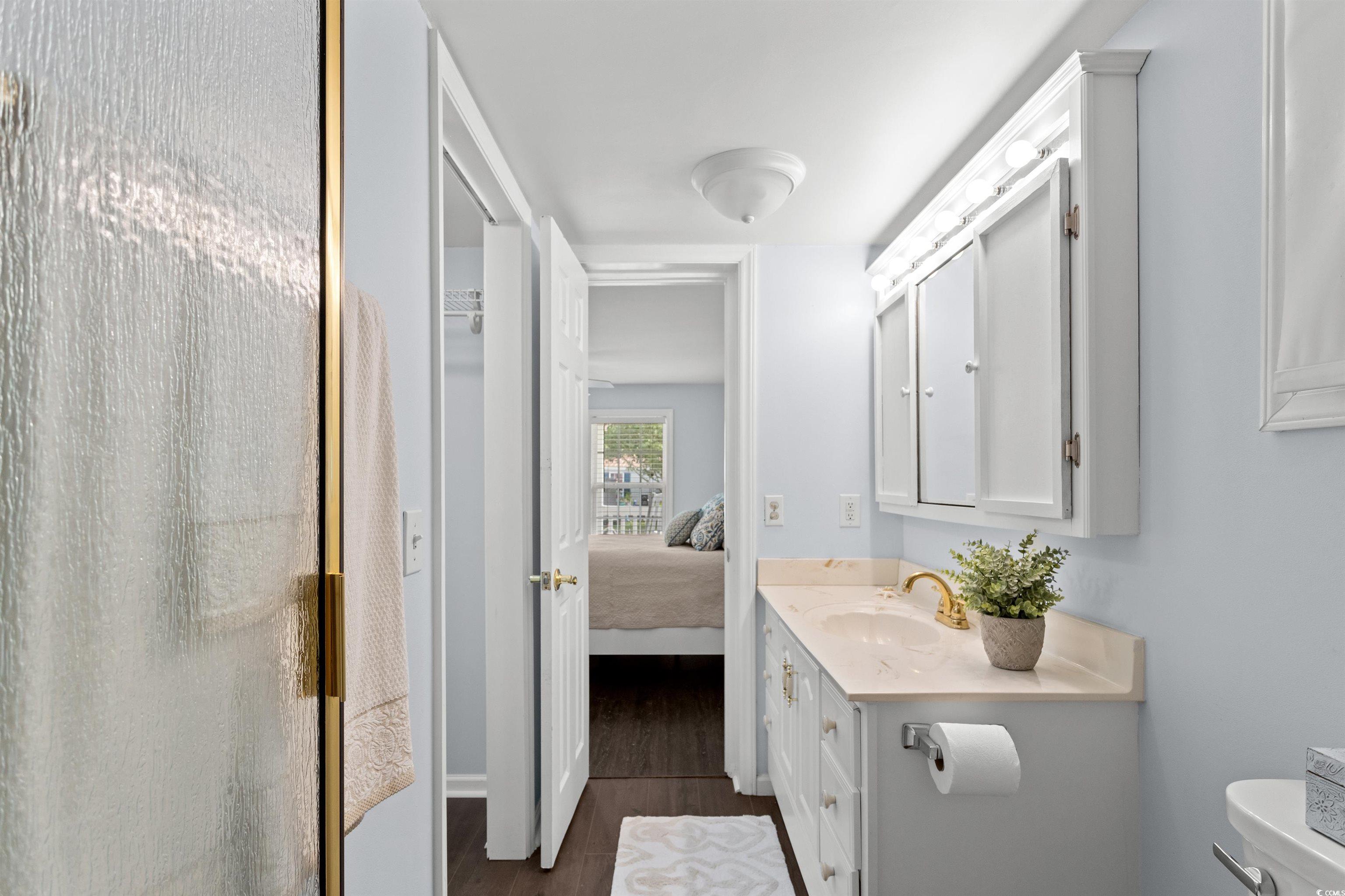 949 Derrick Lane Murrells Inlet, SC 29576 - Photo 25 of 40 Bathroom with vanity, hardwood / wood-style floori