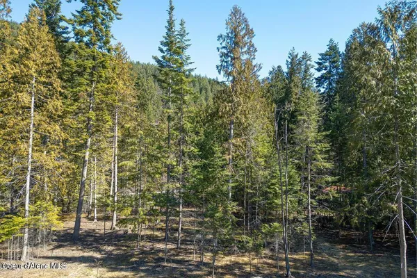 $499,000 | Nka Nka Frontage Road, Clark Fork, ID 83811