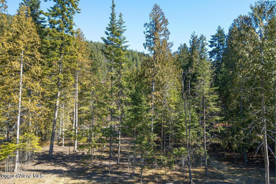 Nka Nka Frontage Road Clark Fork, ID 83811 - Photo 27 of 29 28