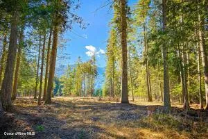 $499,000 | Nka Nka Frontage Road, Clark Fork, ID 83811