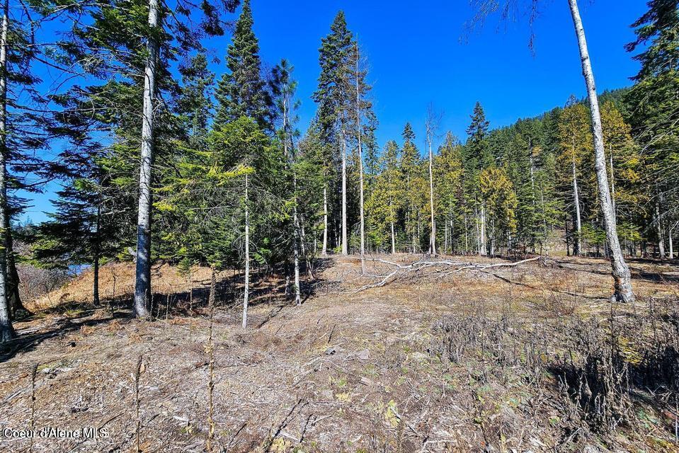 Nka Nka Frontage Road Clark Fork, ID 83811 - Photo 5 of 29 5