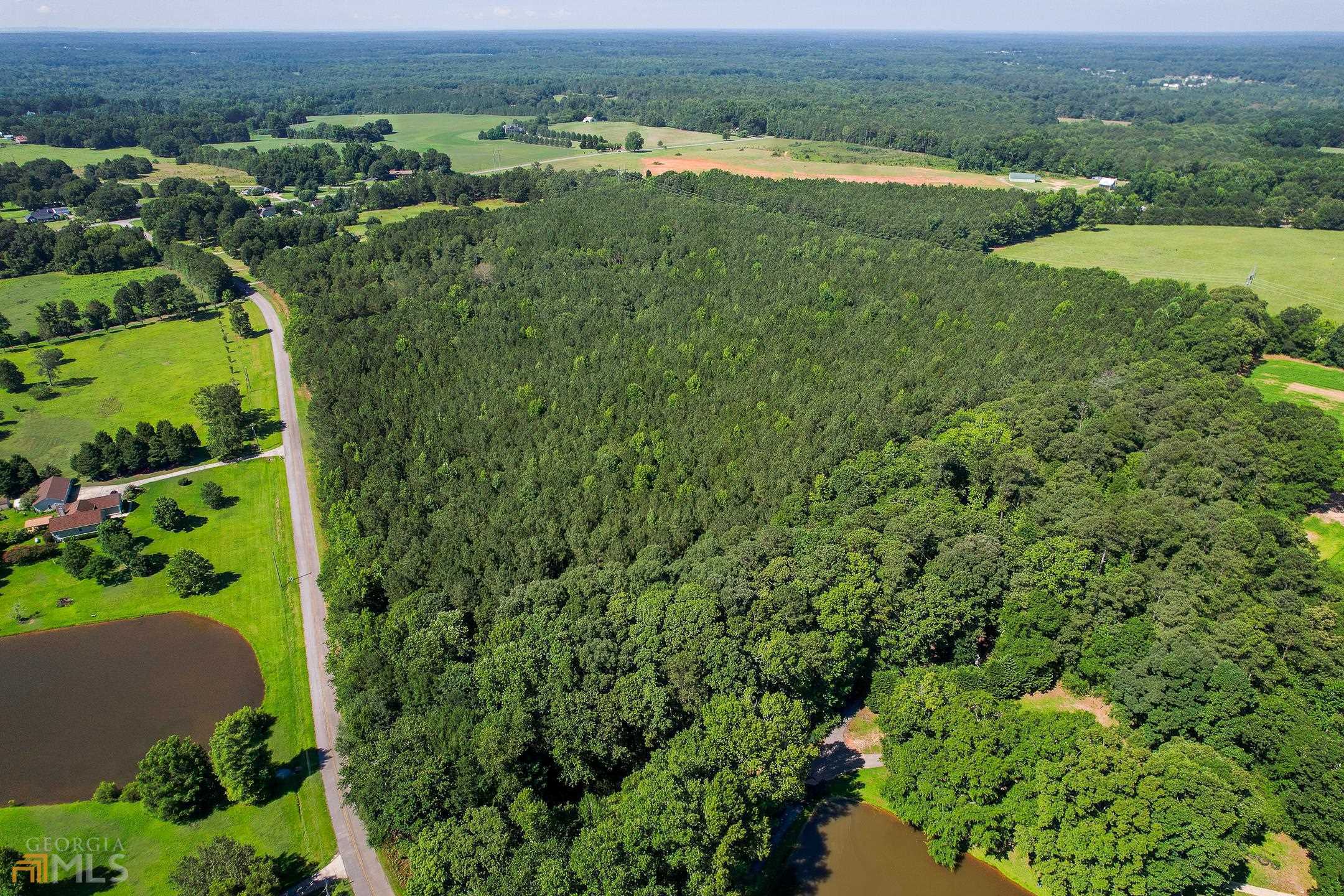 980 Patterson Road Griffin, GA 30223 - Photo 1 of 1 an aerial view of huge green field with lots of green plants in it