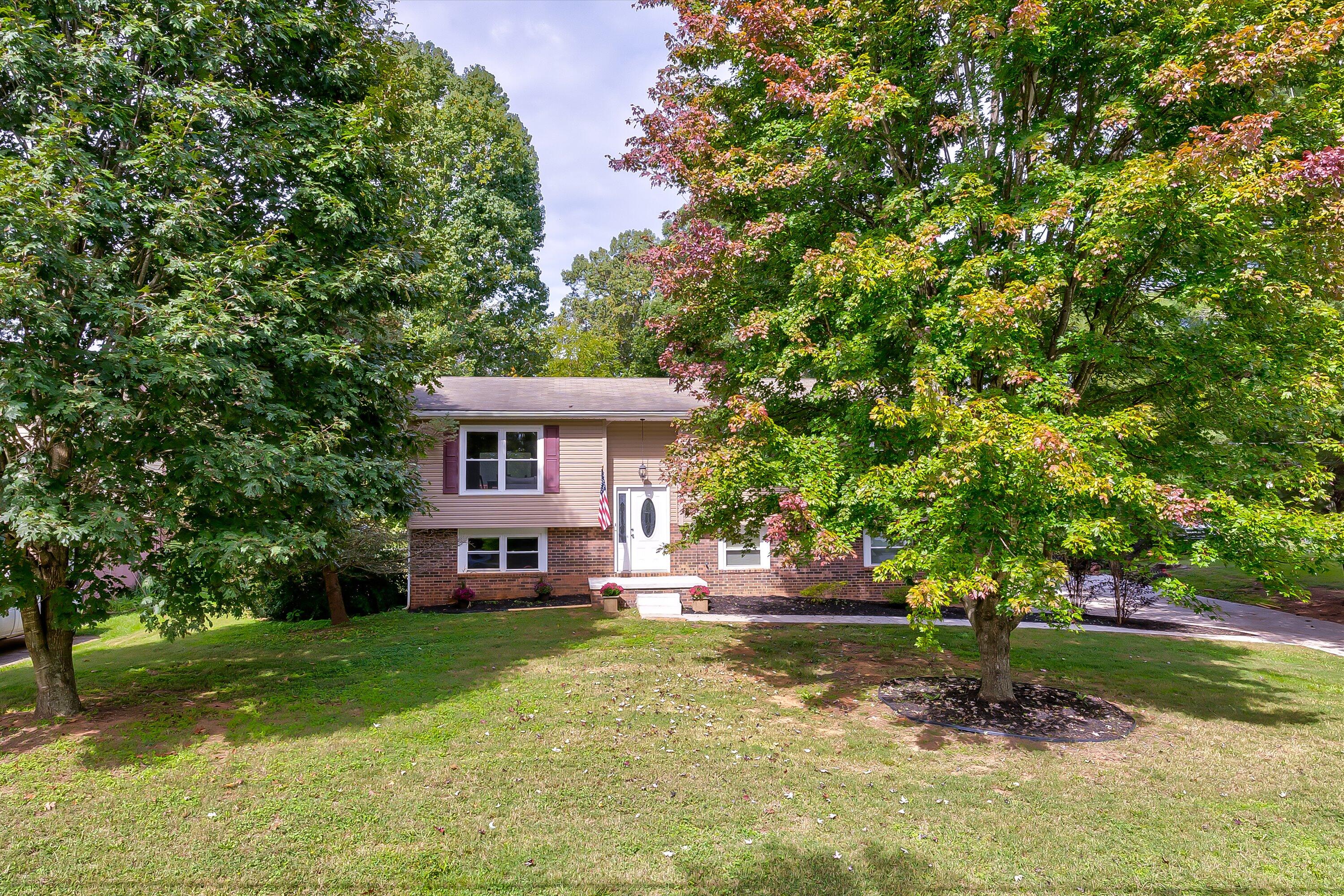 01-127 Blue Ridge Ln-1